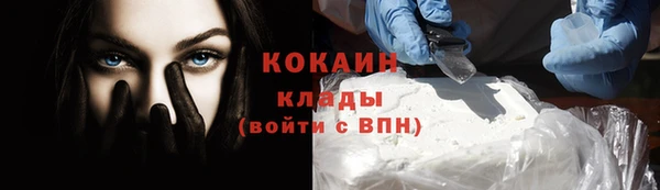 СК Волосово